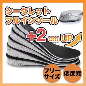 【2cm UP】 シークレットインソール 中敷き 身長アップ レディース メンズ