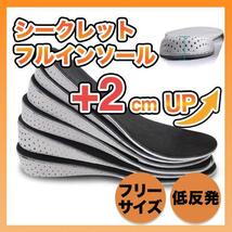 【2cm UP】 シークレットインソール 中敷き 身長アップ レディース メンズ_画像1