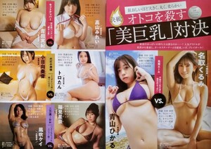 切り抜き　20頁　巨乳グラドル　西田麻衣青山ひかる風吹ケイ柳瀬さき天木じゅん清水みさと入山愛白川のぞみ菜乃花夏来唯桐山瑠衣工藤唯ほか