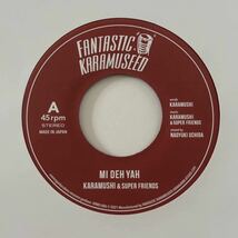 稀少 KARAMUSHI カラムシ / MI DEH YAH / COVID 19 BLUES / レコード 苧麻 光風&GREEN MASSIVE チャッカーズ 浪花男 ジャパレゲ_画像1