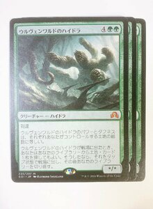 ●ウルヴェンワルドのハイドラ/Ulvenwald Hydra　3枚セット　日本語版　SOI　235/297　M　MTG　マジックザギャザリング