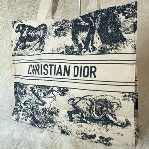 1 иен Christian Dior Christian Dior большая сумка парусина серый серия towarudujuiembro Ida Lee medium темно-синий 