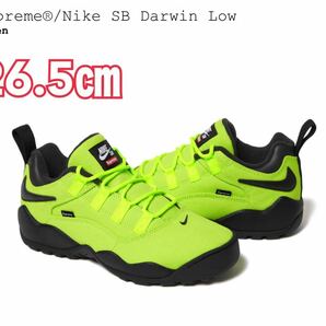 supreme nike sb darwin low green 26.5cm