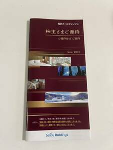 ネコポス送料無料　西武ホールディングス 株主優待冊子 一冊