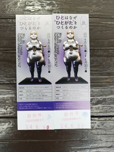 横浜人形の家 3階企画展示室 招待券2セット パンフレット添付 有効期限2024年6月30日