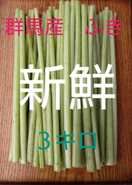 農家直送！！■群馬県産■ふき３キロ(^^)　新鮮！！