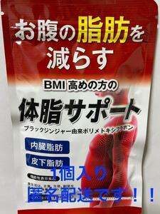 ダイエットサプリ 体脂サポート ブラックジンジャー カルニチン 90日分 1袋