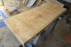 #15000 jpy ~# material festival # outlet # maple ( maple )#W133cm×D56~60cm×H5.5cm#DIY# woodworking #Z038