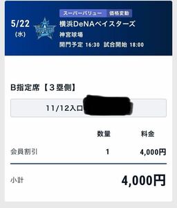 定価の半額スタート からあげ祭り 5月22日 神宮球場 横浜ベイスターズブルペン目の前 ヤクルト対横浜 3塁側内野指定席B 8〜14段　154〜169