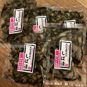 【期間限定出品】北陸産野菜のしば漬け　富山県氷見稲積梅エキス使用　5袋　ショップ袋発送　