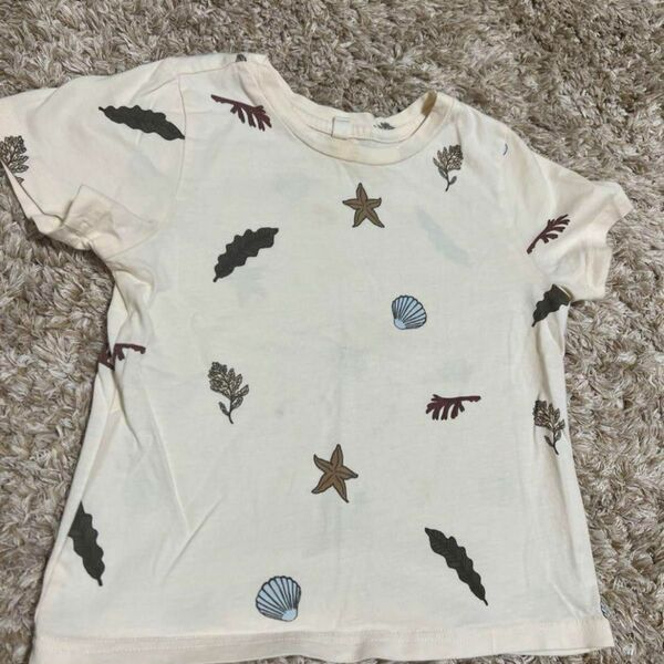 organic zoo seaweed classic Tシャツ 2-3y