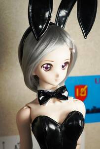 DDH-06 normal . custom head & wig structure type .65