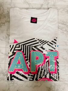 Lサイズ　AAA party tonight 2014 Tシャツ　APT Nissy 西島隆弘