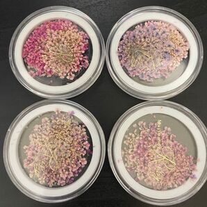 Riry ドライフラワー ネイルピンク & パープル セット