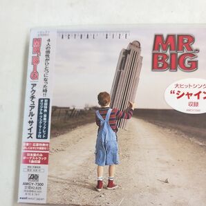 ＭＲ．ＢＩＧ／アクチュアルサイズ　 CD