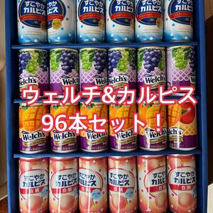 すこやかカルピス&ウェルチギフト　24本入×4箱　96本セット