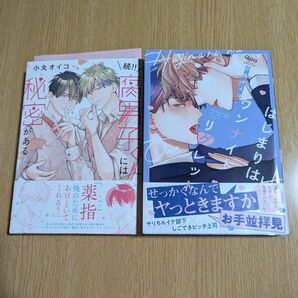 小丸オイコ「続！！腐男子くんには秘密がある」「はじまりはワンナイトリグレット」２冊セット