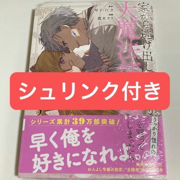 家から逃げ出したい私が、うっかり憧れの大魔法使い様を買ってしまったら　5