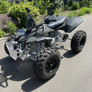  анимация иметь off-road Buggy FYM производства?