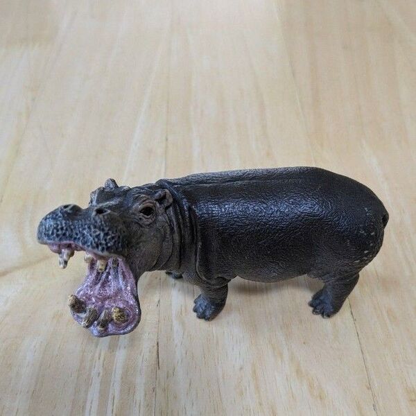 Schleich かば 動物フィギュア11㌢