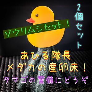 アヒル隊長の産卵床 2個とゾウリムシ60mlセットです。