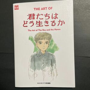 THE ART OF... is .. raw ... Miyazaki . Studio Ghibli 
