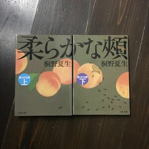 直木賞 柔らかな頬/桐野夏生★文学 サスペンス 犯罪 北海道 人生 精神 心理 ノワール スリラー