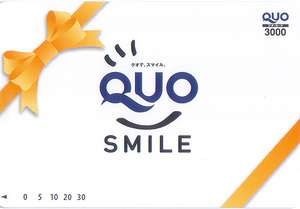 * QUO card 3000 jpy ticket * free shipping conditions have *
