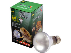 * strong bus King spot lamp 20W pet pet Zone (Petpetzone)zen acid daytime for compilation light type reptiles for heat insulation lamp new goods consumption tax 0 jpy *