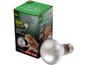 * strong bus King spot lamp 60W pet pet Zone (Petpetzone)zen acid daytime for compilation light type reptiles for heat insulation lamp new goods consumption tax 0 jpy *