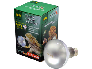 * strong bus King spot lamp 100W pet pet Zone (Petpetzone)zen acid daytime for compilation light type reptiles for heat insulation lamp new goods consumption tax 0 jpy *