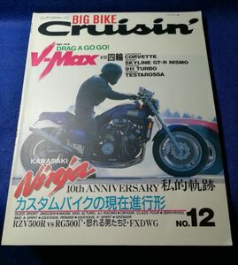 〇 ビッグバイク・クルージン　NO.12　KAWASAKI Ninja 10th ANNIVERSARY　Z09-2P18