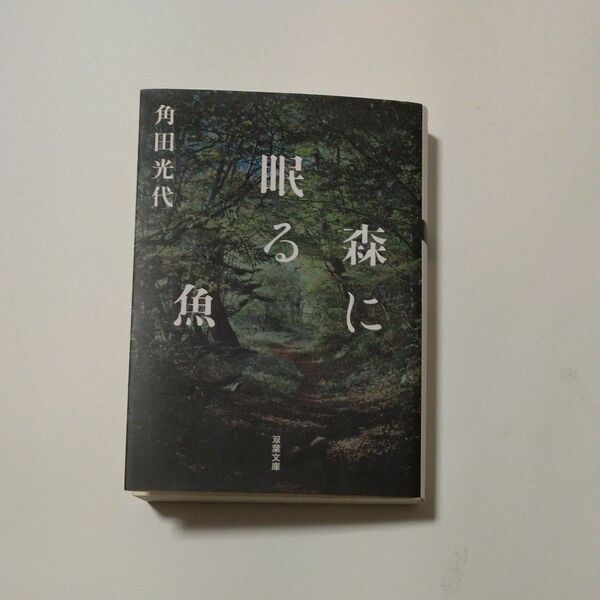 森に眠る魚 角田光代 著
