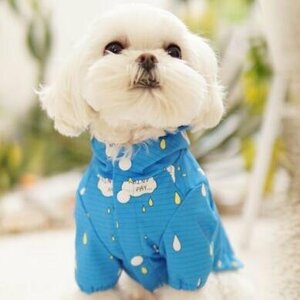 * free shipping new goods * dog. Western-style clothes * raincoat blue color XXL Beagle *. dog other 