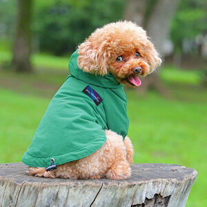 * бесплатная доставка новый товар * собака. европейская одежда * плащ зеленый цвет L Dux * пудель др. 