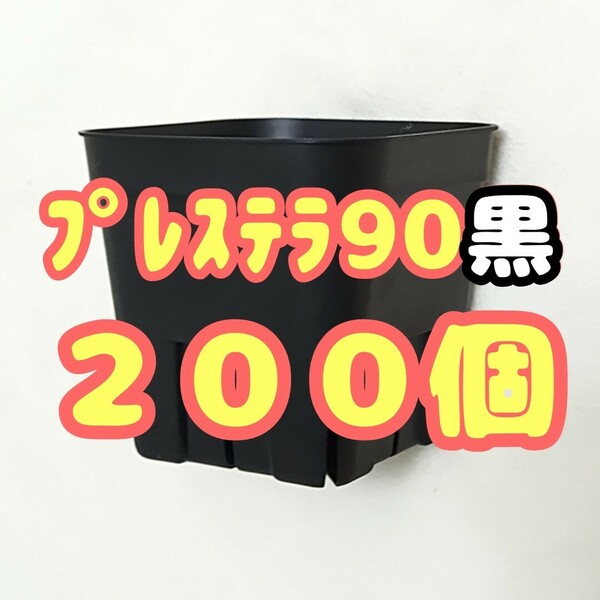 ◆送料無料◆【スリット鉢】プレステラ90黒200個 多肉植物 プラ鉢