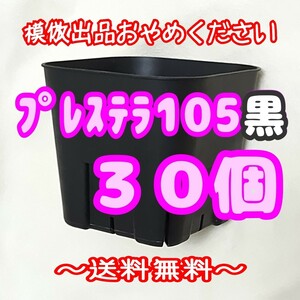 ◆送料無料◆【スリット鉢】プレステラ105黒30個 多肉植物 プラ鉢 3.5号鉢 相当