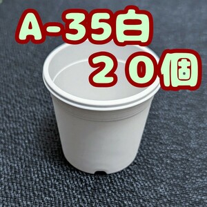 ◆送料無料◆プラ鉢【A-35】20個 スリット鉢 丸 プレステラ 多肉植物