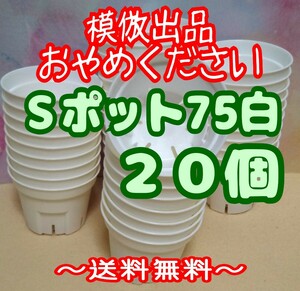 ◆送料無料◆Sポット75 白 20個 スリット鉢 プラ鉢 2.5号 7.5cm プレステラ 丸型 多肉植物