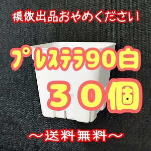 ◆送料無料◆【スリット鉢】プレステラ90白30個 多肉植物 プラ鉢 3号鉢 相当