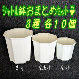 ◆送料無料◆プラ鉢 シャトル鉢 3種 各10個セット♪八角鉢スリット鉢プレステラ多肉植物 (2寸・2.5寸・3寸)