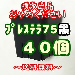 ◆送料無料◆《プレステラ75》黒40個 プラ鉢スリット鉢 多肉植物 植木鉢