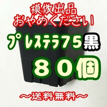 ◆送料無料◆《プレステラ75》黒80個 プラ鉢スリット鉢 多肉植物 植木鉢_画像1