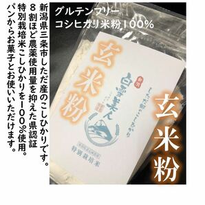 減農薬　新潟こしひかり玄米粉900g　令和5年　新潟県三条市しただ産　新潟県認証　特別栽培米コシヒカリ玄米100% グルテンフリー　送料無料