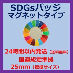 SDGsカラーホイールバッジ　マグネットタイプ