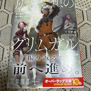 灰と幻想のグリムガル level.21 光と闇を切り裂いて征け