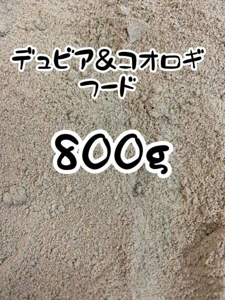 ☆送料無料！！☆デュビア＆コオロギのごはん 800g