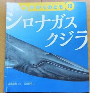  シロナガスクジラ　月刊かがくのとも 　月刊誌　福音館書店 　絵本