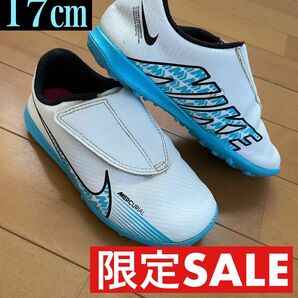 NIKE ナイキ　靴　スニーカー　サッカー　スポーツ　17㎝