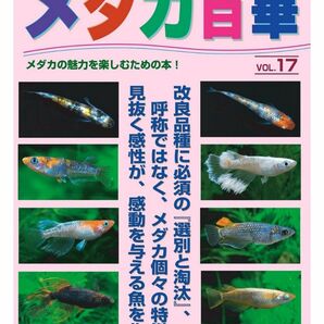 メダカ百華17 最新刊　メダカ百華 Vol.17